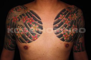 登龍門、下り鯉、桜花散らしの刺青、和彫り(Japanese Tattoo)画像