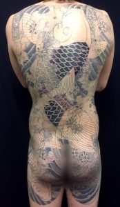 夫婦鯉と桜花の刺青、和彫り(Japanese Tattoo)画像