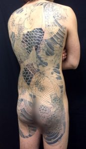 夫婦鯉と桜花の刺青、和彫り(Japanese Tattoo)画像