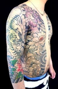 虎と唐獅子牡丹の刺青、和彫り(Japanese Tattoo)画像