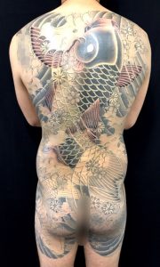 夫婦鯉と桜散らしの刺青、和彫り(Japanese Tattoo)画像