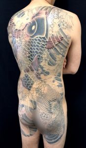 夫婦鯉と桜散らしの刺青、和彫り(Japanese Tattoo)画像