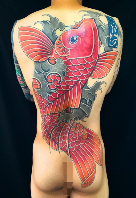 緋鯉の滝登りの刺青、和彫り(Japanese Tattoo・タトゥー)の画像