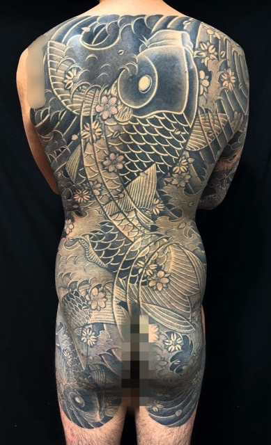 登り鯉・桜花・額彫りの刺青、和彫り(Japanese Tattoo・タトゥー)の画像