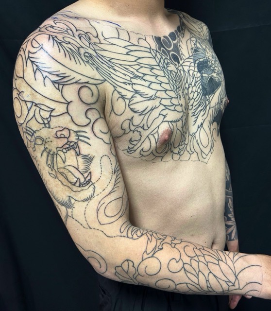 鳳凰・虎・菊(額彫り)の刺青、和彫り(Japanese Tattoo・タトゥー)の画像