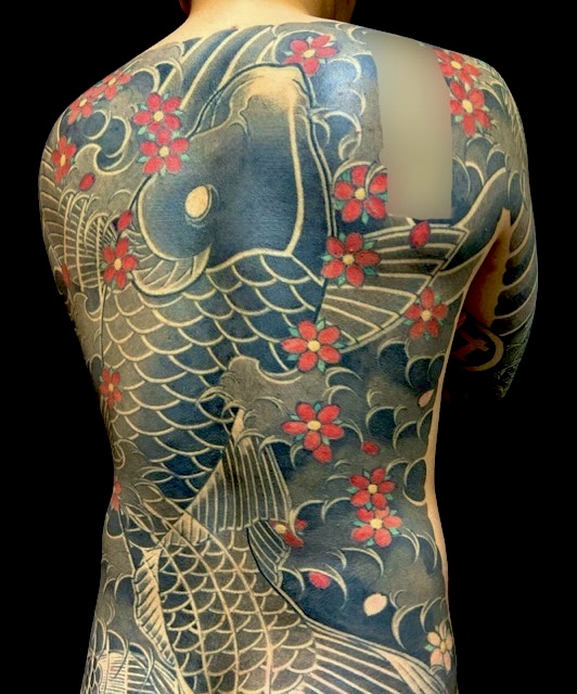 登り鯉・桜花散らし(額彫り)の刺青、和彫り(Japanese Tattoo・タトゥー)の画像