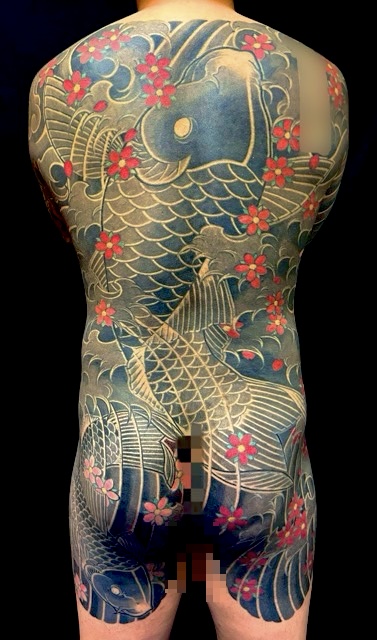 登り鯉・桜花散らし(額彫り)の刺青、和彫り(Japanese Tattoo・タトゥー)の画像