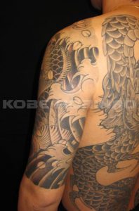 家紋と下り鯉と桜散らしの刺青、和彫り(Japanese Tattoo)画像